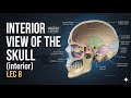 تشريح عام طب اسنان مرحلة اولى (Interior view of the skull Lec 8)