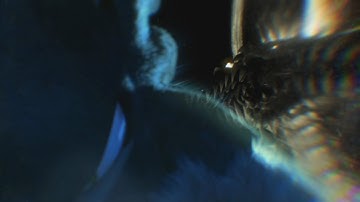 [SpinzTeam] - Birthright - Part 12 & 16