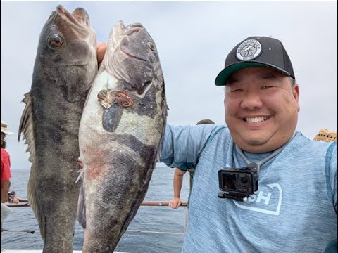 Catching limits of Sand Bass on the Victory out of Long Beach, CA