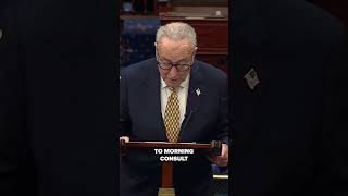 Chuck Schumer says burden is on Trump and Republicans to end government shutdown