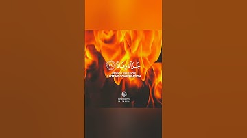الآية مرعبة 🍁 حالات واتس اب قران كريم بصوت جميل جدا 🎧💖 تلاوة خاشعة ومؤثرة🌸🍃 Quran status