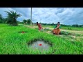 Fishing Video || Two expert fisherman fishing happily in the paddy field canal || Best hook trap