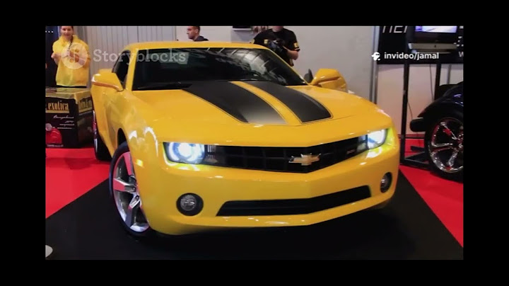 Rev Up Your Engines: Car Lovers Unite!