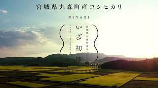 宮城県丸森町最高級ブランド米　「いざ初陣」 PV　ver2