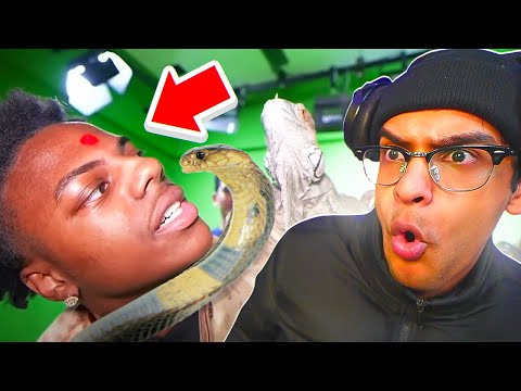 IShowSpeed Bit By Snake in India! (best moments)