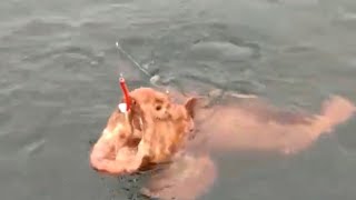 Настоящий монстр из морских глубин 😶 (Сахалин, Курильские острова)| Робинзон
