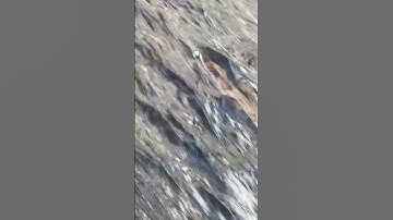 # hello guys #start a profitable youtube #channel,starting a youtube channel,how #to start