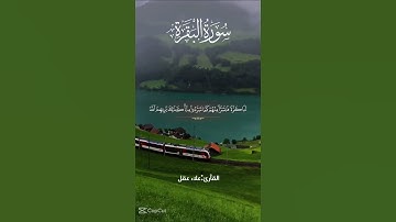 سورة البقرة الاية (165)للقارئ الشيخ علاء عقل