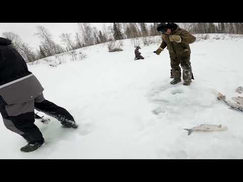 Видео: Рыбалка с Друзьями 7-8.05.2024