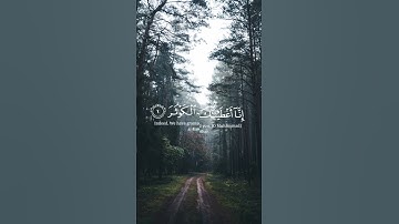 سورة الكوثر (عبد الرحمن مسعد)