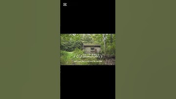 #quran #اسلاميات #اكسبلور #قرآن #قران_كريم #islam #اللهم_صل_وسلم_على_نبينا_محمد #سورة_يوسف #ﷺ