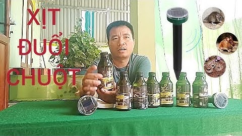 CHAI DUNG DỊCH XỊT ĐUỔI HẾT SẠCH CHUỘT MÁY ĐUỔI CHUỘT RẮN CHIM NĂNG LƯỢNG CAO CẤP CHO MỌI NGƯỜI