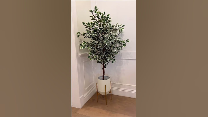 AMAZON Home Decor MUST HAVES 2023