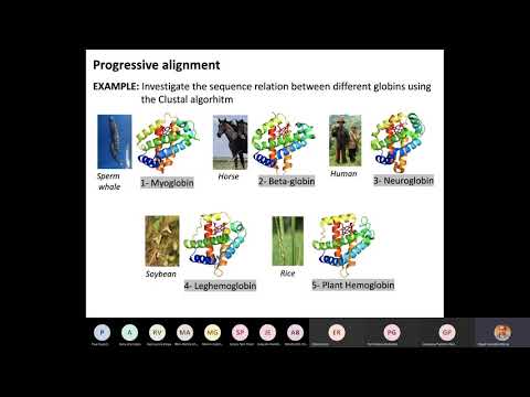 Multiple Sequence Alignment (MSA)