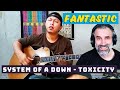 System of A Down - Toxicity (acoustic cover)  alip ba ta - reaction