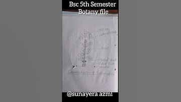 Bsc 3rd year 5th Semester Botany Practical Exam file 📚 #botanypracticalfile