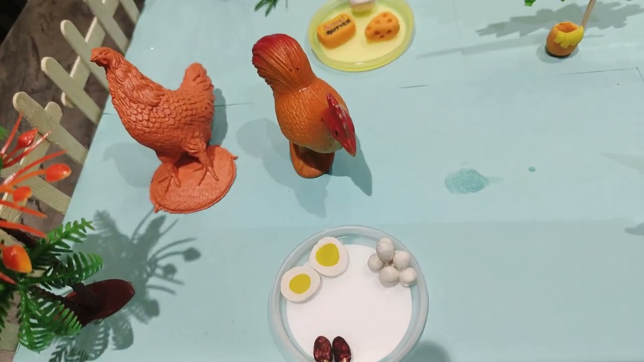 Food from animals - School project 