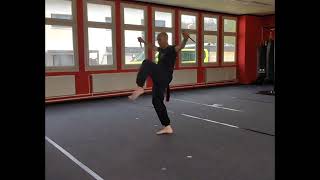 🐉 Green Dragon Shaolin Kung Fu 🐉 Weapons - The Double Dagger