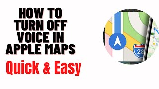 how to turn off voice in apple maps