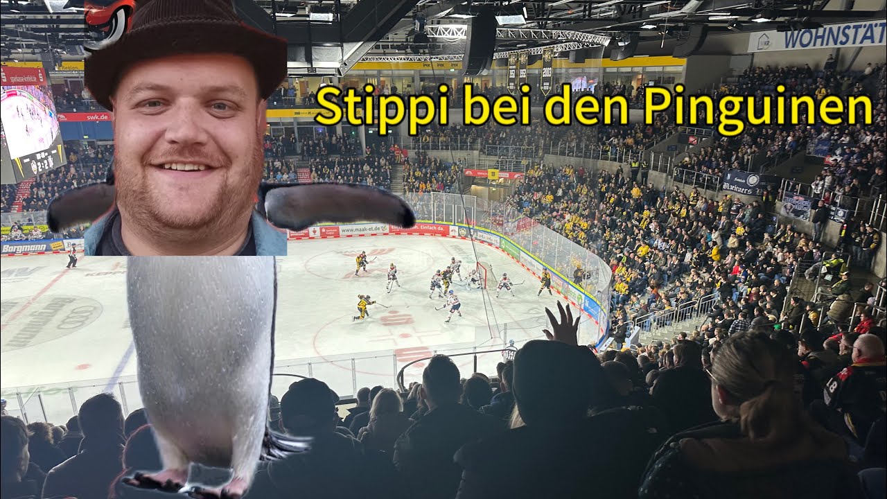 Krefeld Pinguine - Kassel Huskies