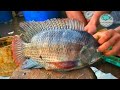 Live Tilapia Fish Cutting Skills In Bangladesh Fish Market II fastest fish cutting skills