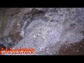 Prospecção Mineral (Ametista) Parte 02