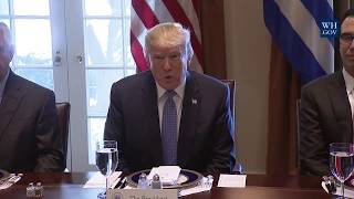 President Trump has a Working Luncheon with Prime Minister Tsipras