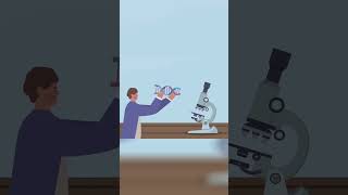 Unlock Your Genes: Genotype & Phenotype Explained  #DNAExplained #WhatAreGenotypes