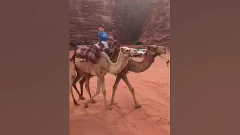 Dirarek riding a camel
