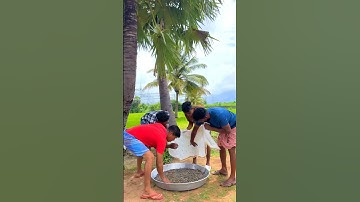 20Million Tiny Fish Curry #shorts