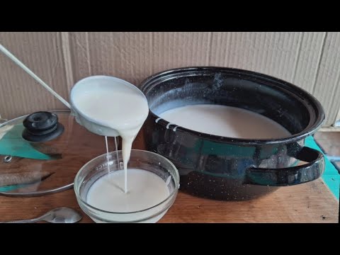 Yogurt Bebible