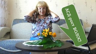 АСД 2. Надежный способ лечения волос. АСД 2. Надежный способ лечения волос.
