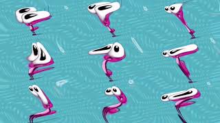 Bob Zoom Meeting Do You Want To Do