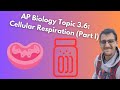 Cellular Respiration Quiz