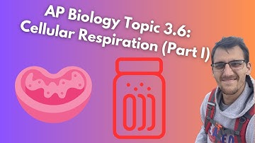 (2019 curriculum) 3.6 Cellular Respiration (Part I) - AP Biology