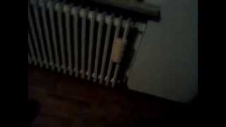 Radio Zapping 19 Settembre 2015 Con Frammenti Di Milan-Palermo