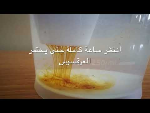 تحضير عرقسوس رمزي الجاهز