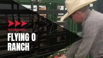 Q-Catch 87 Series Manual Squeeze Chute, Alley and Tub | Flying O Ranch - Testimonial | Arrowquip