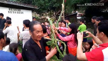 Lwm qaib xyoo tshiab 7/12/2018