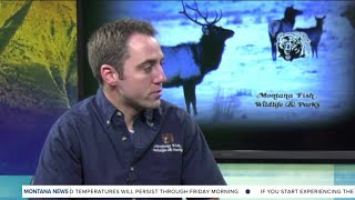 This Week in Fish and Wildlife: New addition to Mount Haggin Wildlife Management Area