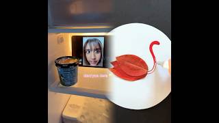 This Is So Funny L Couldnt Stop Laughing youtube funnydoddlersoffunnysduet