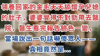 |情感故事|領養回家的金毛天天舔懷孕兒媳的肚子,婆婆覺得不對勁帶去醫院,醫生看完報告臉色一變,當場說出一句話嚇傻眾人——真相竟然是...#淺談人生 #民間故事 #情感故事 #真實事件 #家庭故事