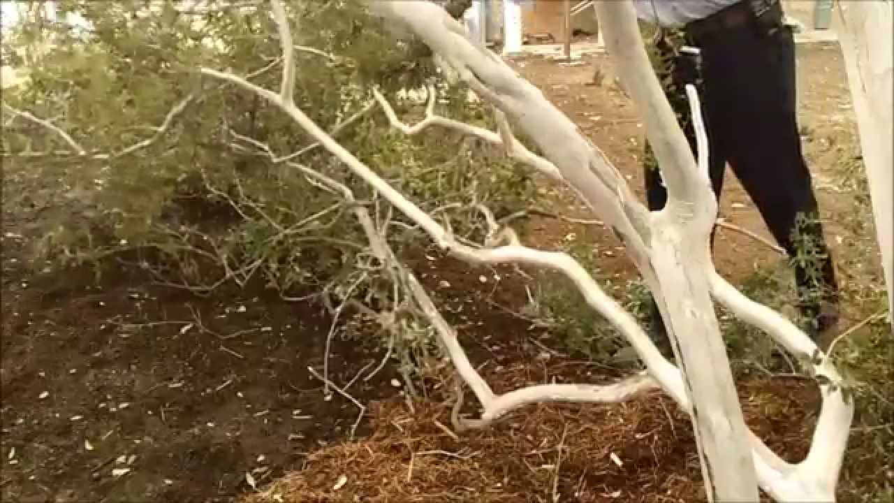 OperationalExtras WWII SurvivalMachete