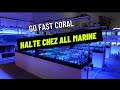 Go fast coral  halte chez all marine