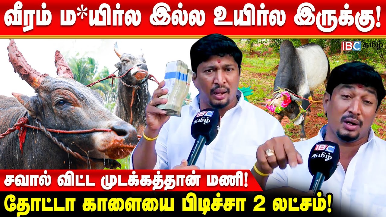 ஜல்லிக்கட்டு ஒரு பிரஷரான கேம்...வீரனுக்கும் காளைக்கும் தான் சண்டை.. | Mudakathan Mani Jallikattu