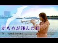 【渡辺真知子さん】かもめが翔んだ日-トランペットカバー【林沙希】