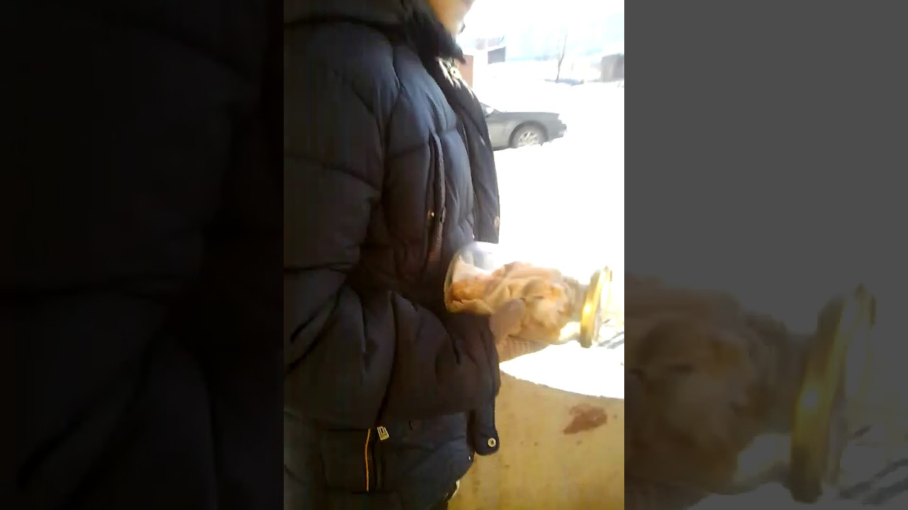 Гомункул - YouTube