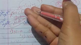 nucleus shell model physics 5th sem important question easy explanation