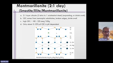 Week 4 Unit 4 Lecture Video 4 1to1 and 2to1 Clays and Where Ion Exchange Occurs in Soils