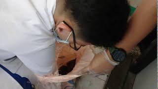 Dissecting a Frog Part 1
